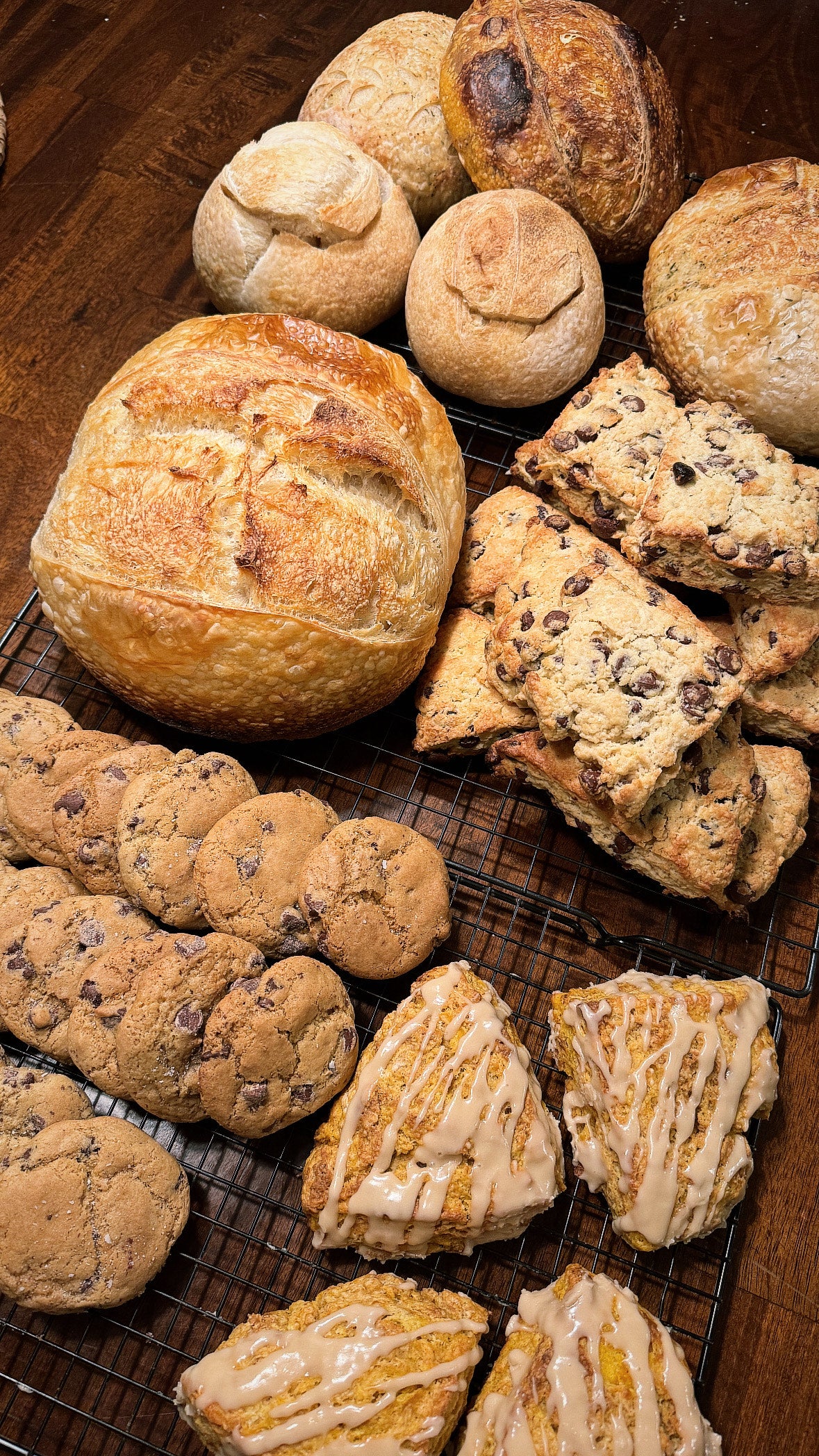 01/29/26 Sourdough Starters with Abby and Brittany