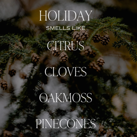Holiday Soy Candle - White Jar