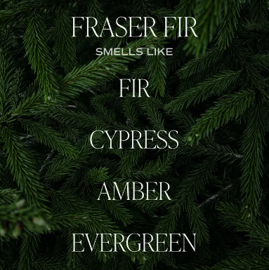 Frasier Fir Soy Candle - White Jar