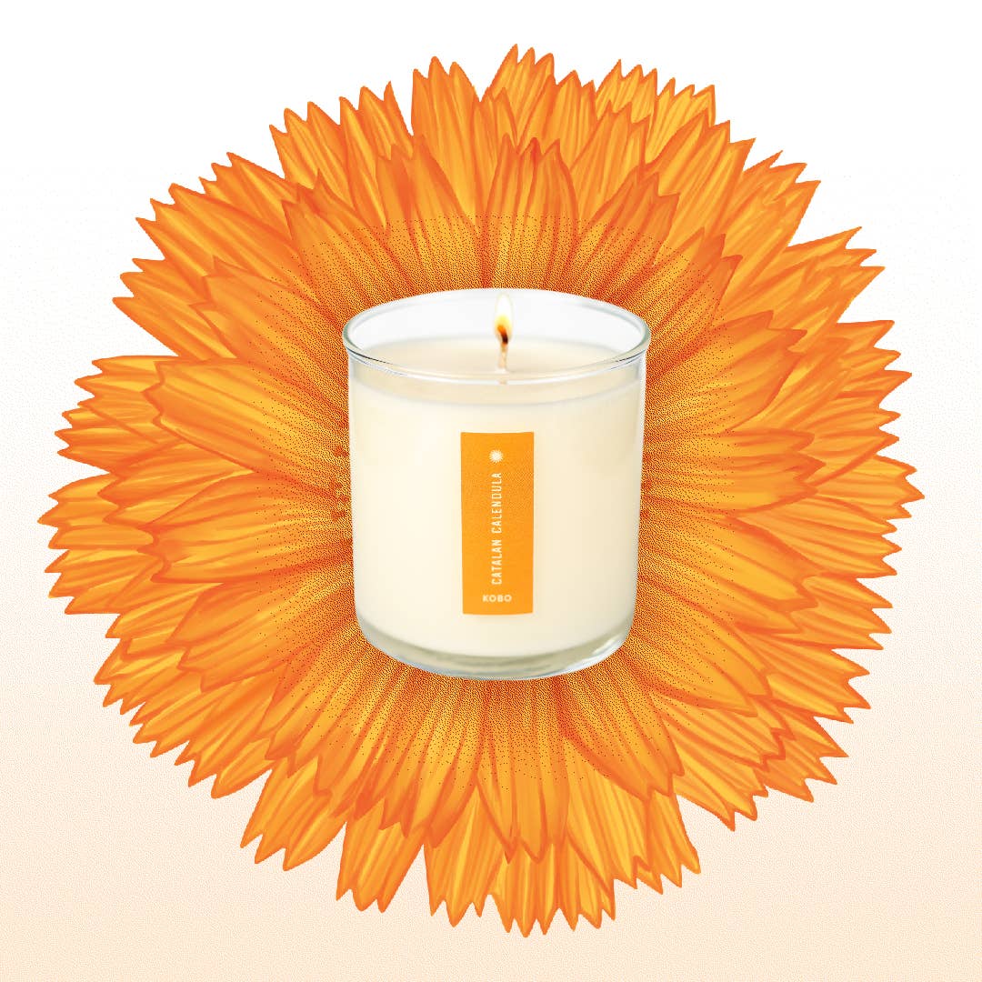 Catalan Calendula - Plant the Box Candle - 9oz. - La Vie Est Belle