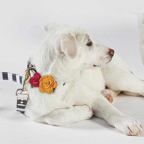 Medium Pet Collar Flower - Marigold - La Vie Est Belle