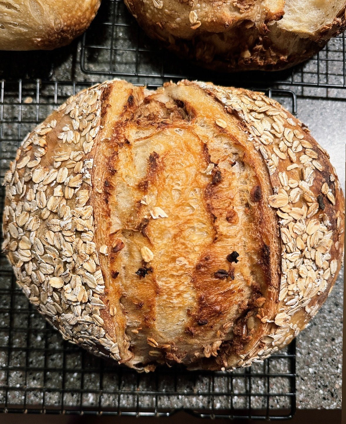 04/23/26 Sourdough Starters with Abby and Brittany - La Vie Est Belle