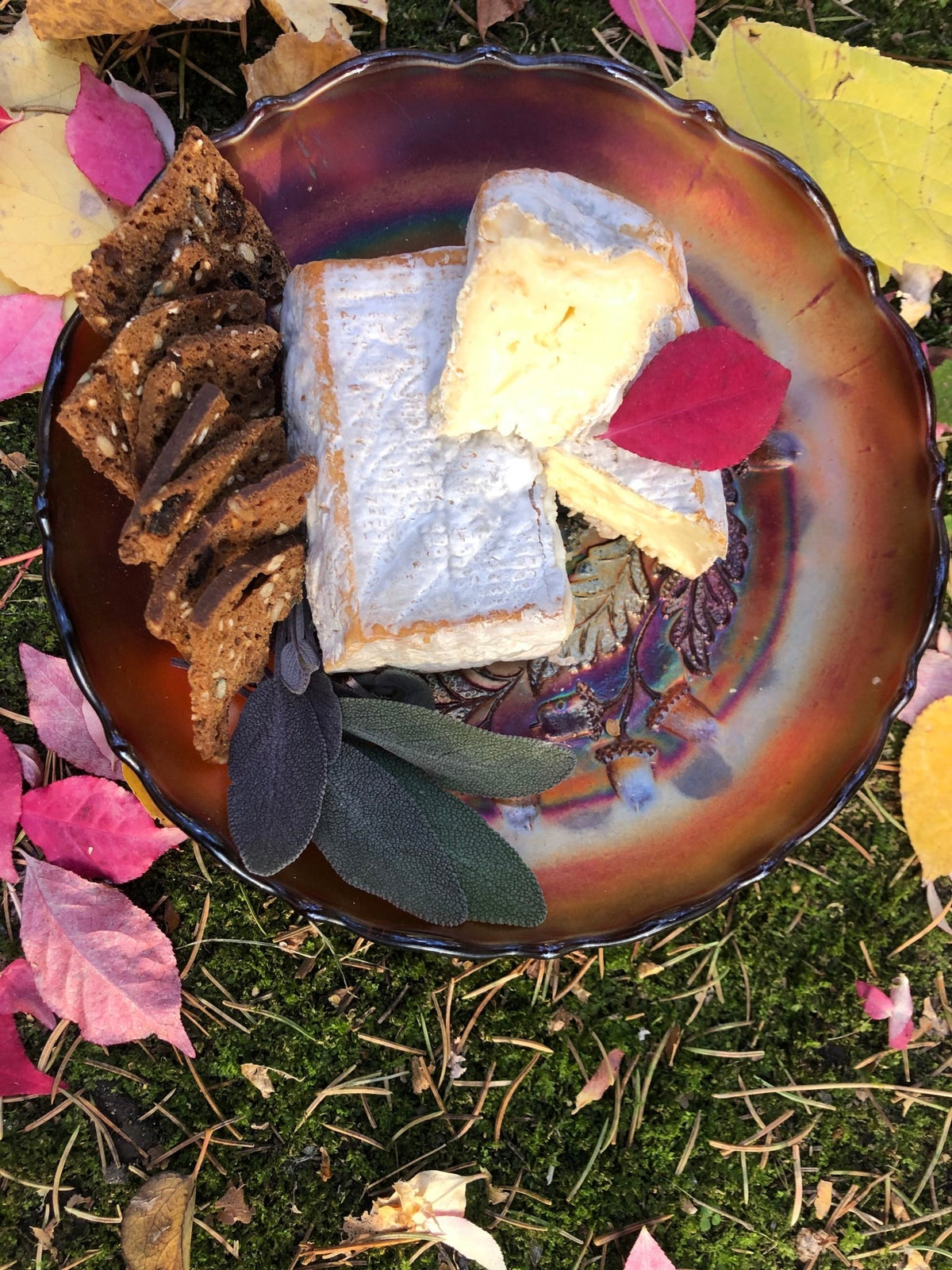 10/24/26 All Hallows’ Cheese: A Harvest Cheese Tasting - La Vie Est Belle