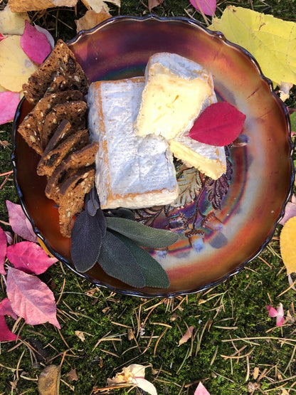 10/24/26 All Hallows’ Cheese: A Harvest Cheese Tasting - La Vie Est Belle