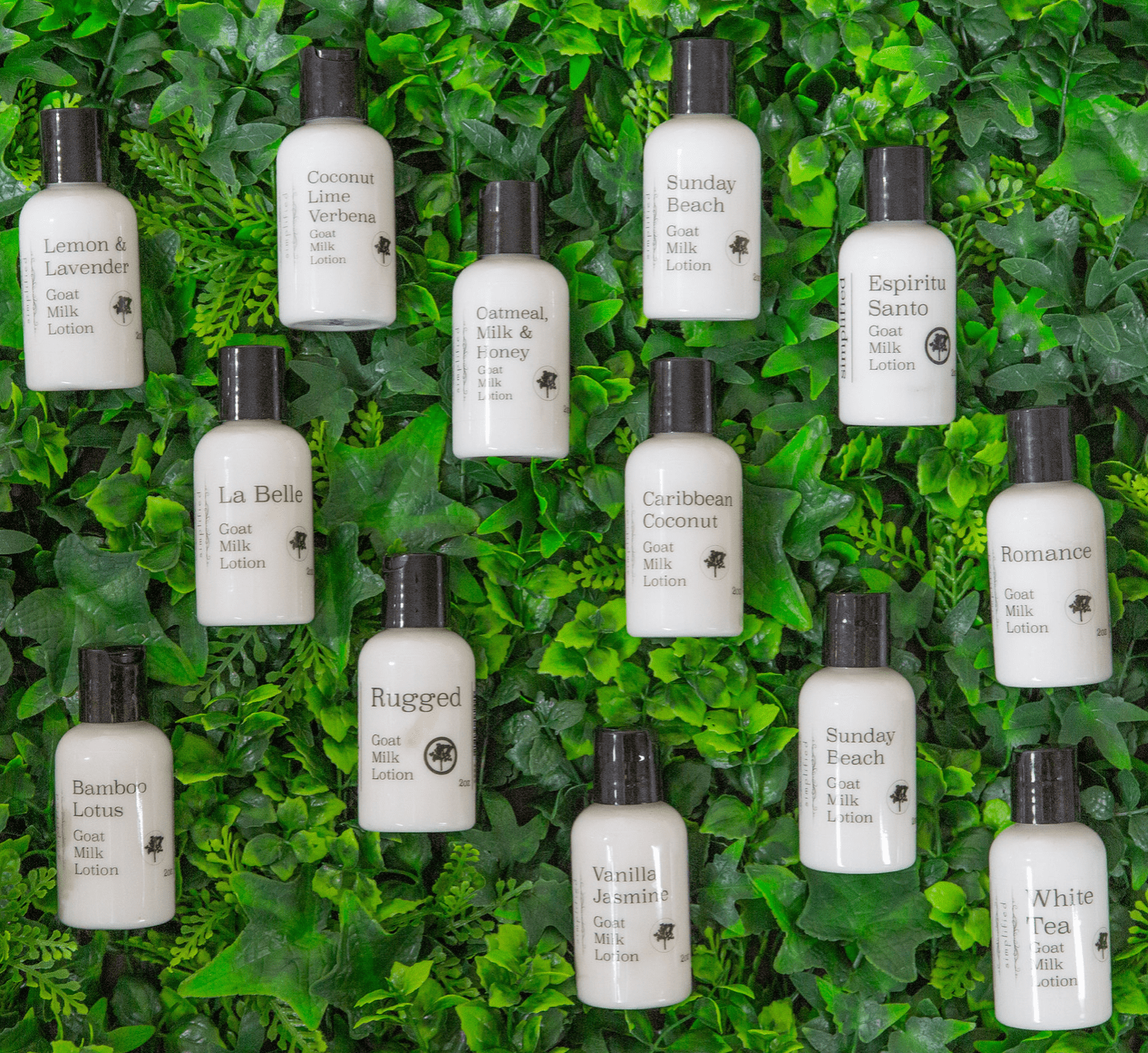 2oz Goat Milk Lotion - La Vie Est Belle