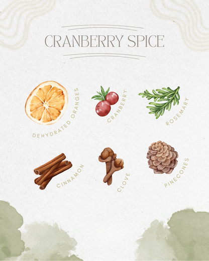 Cranberry Spice Simmer Pot | Cranberry Orange Cinnamon