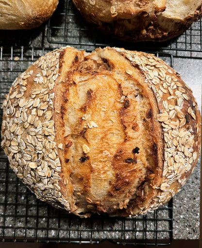 11/21/24 Sourdough Starters with Abby and Brittany