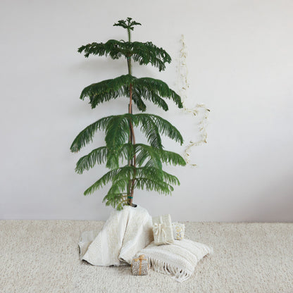 48" Round Woven Cotton & Fabric Blend Striped Tree Skirt with Embroidery & Ties - La Vie Est Belle
