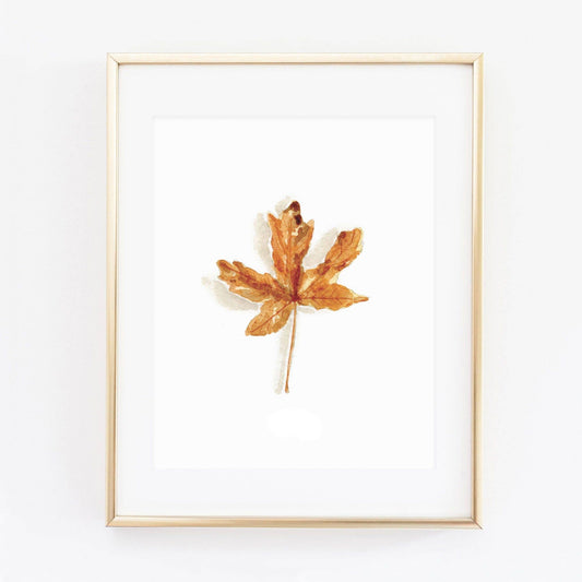 Maple Leaf Art Print