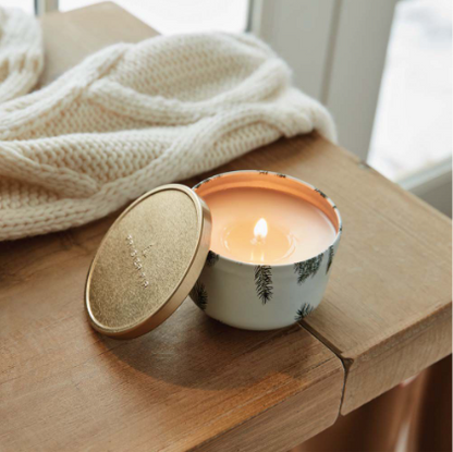 Frasier Fir Poured Candle, Gold Lid