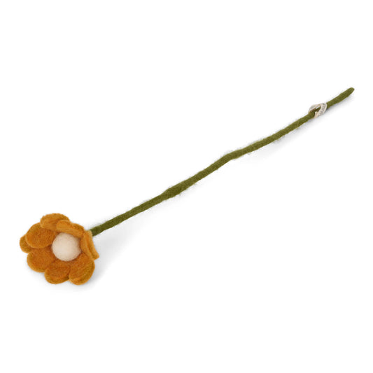 Anemone Yellow - La Vie Est Belle