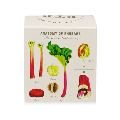 Backyard Rhubarb - Plant the Box Candle - 9oz. - La Vie Est Belle