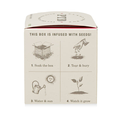 Backyard Rhubarb - Plant the Box Candle - 9oz. - La Vie Est Belle
