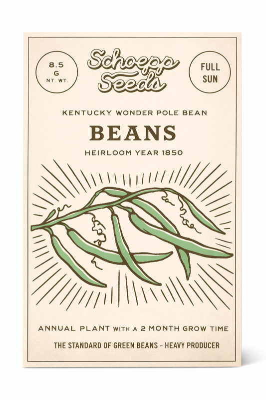 Beans, Kentucky Wonder Pole Bean Heirloom Seed Packet - La Vie Est Belle