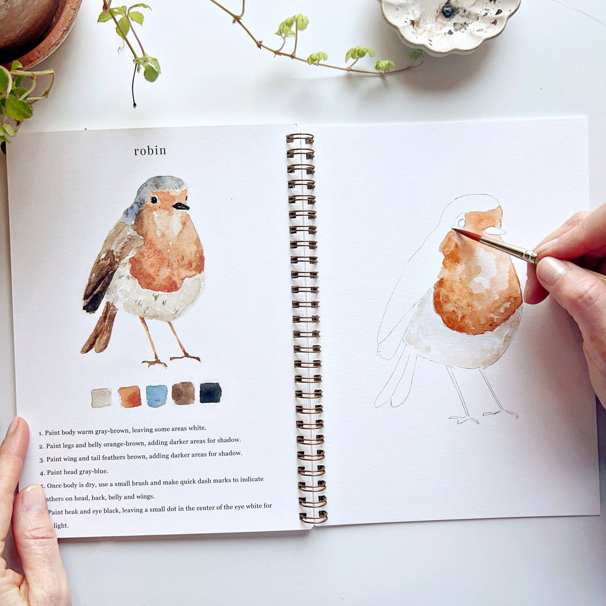 Birds Watercolor Workbook - La Vie Est Belle