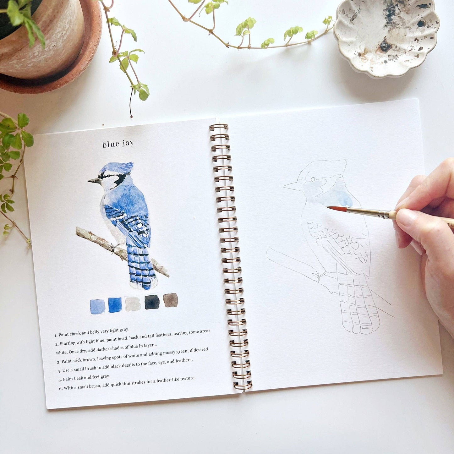 Birds Watercolor Workbook - La Vie Est Belle