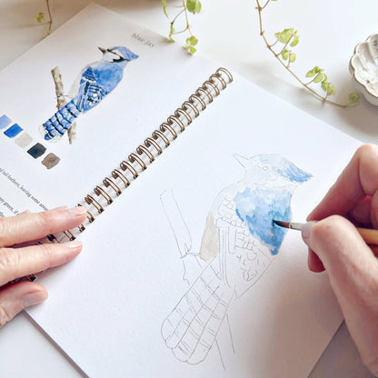 Birds Watercolor Workbook - La Vie Est Belle