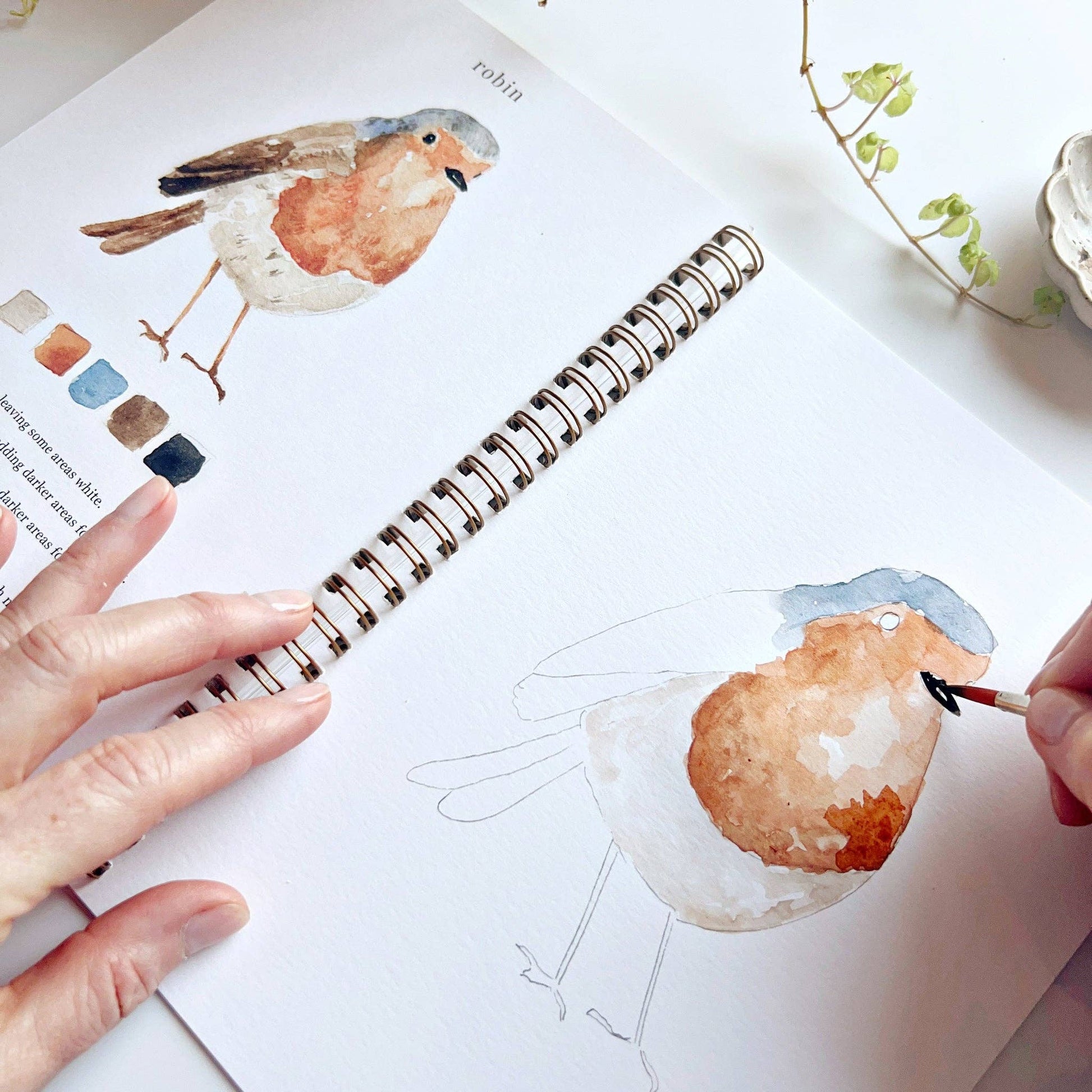 Birds Watercolor Workbook - La Vie Est Belle