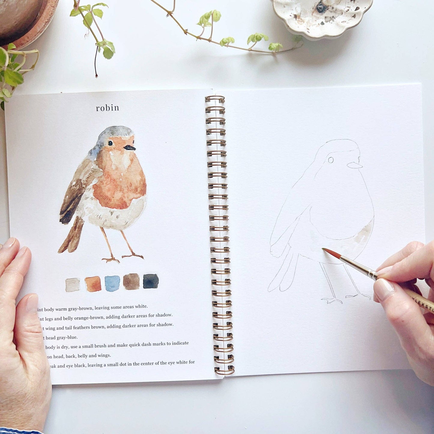 Birds Watercolor Workbook - La Vie Est Belle