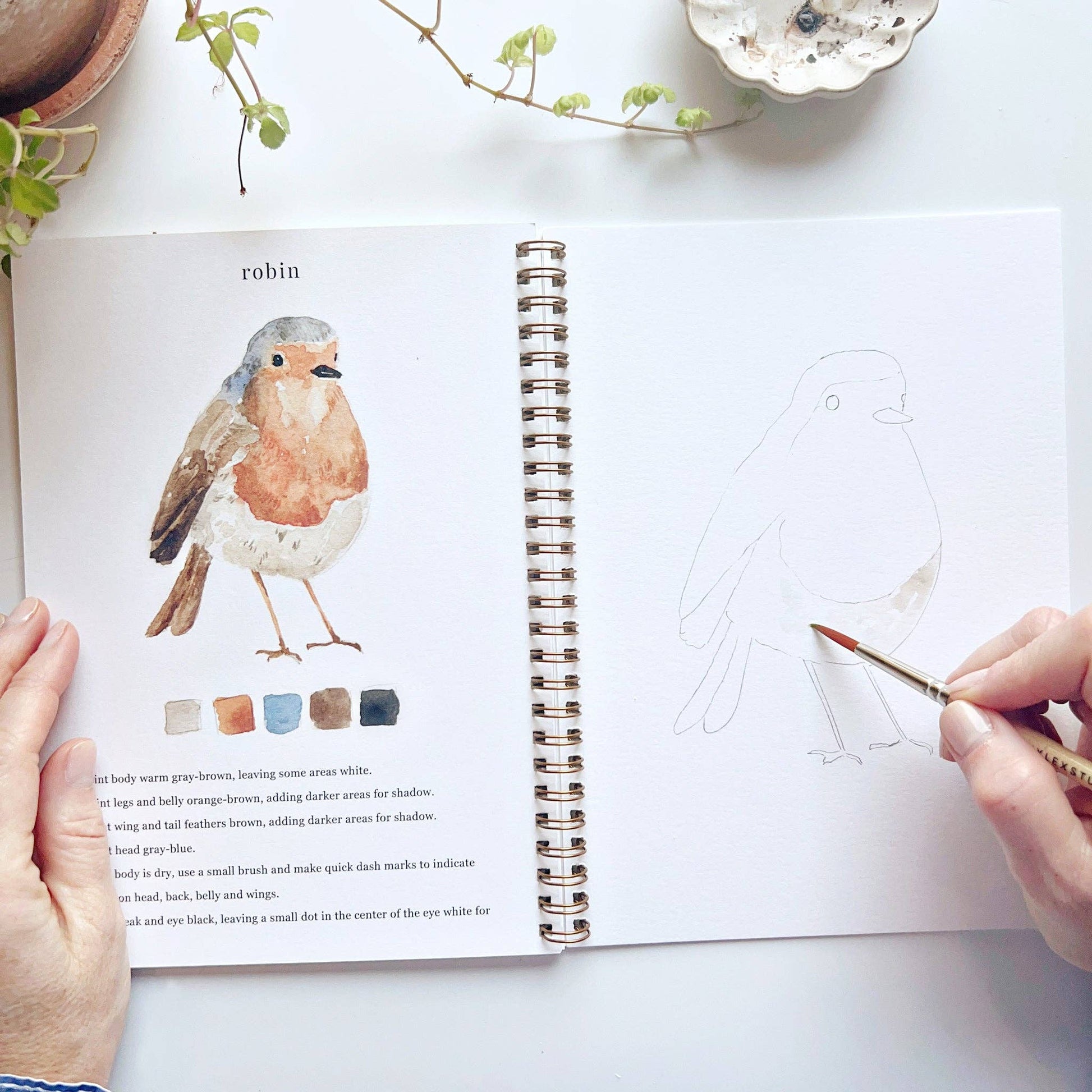 Birds Watercolor Workbook - La Vie Est Belle