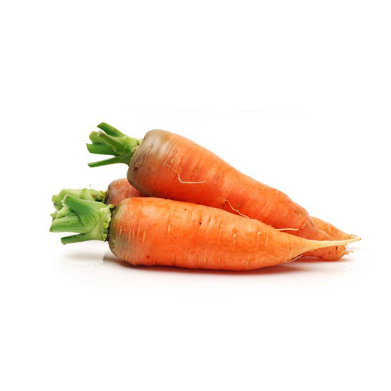 Carrot, Half Long Heirloom Garden Seed Packet - La Vie Est Belle