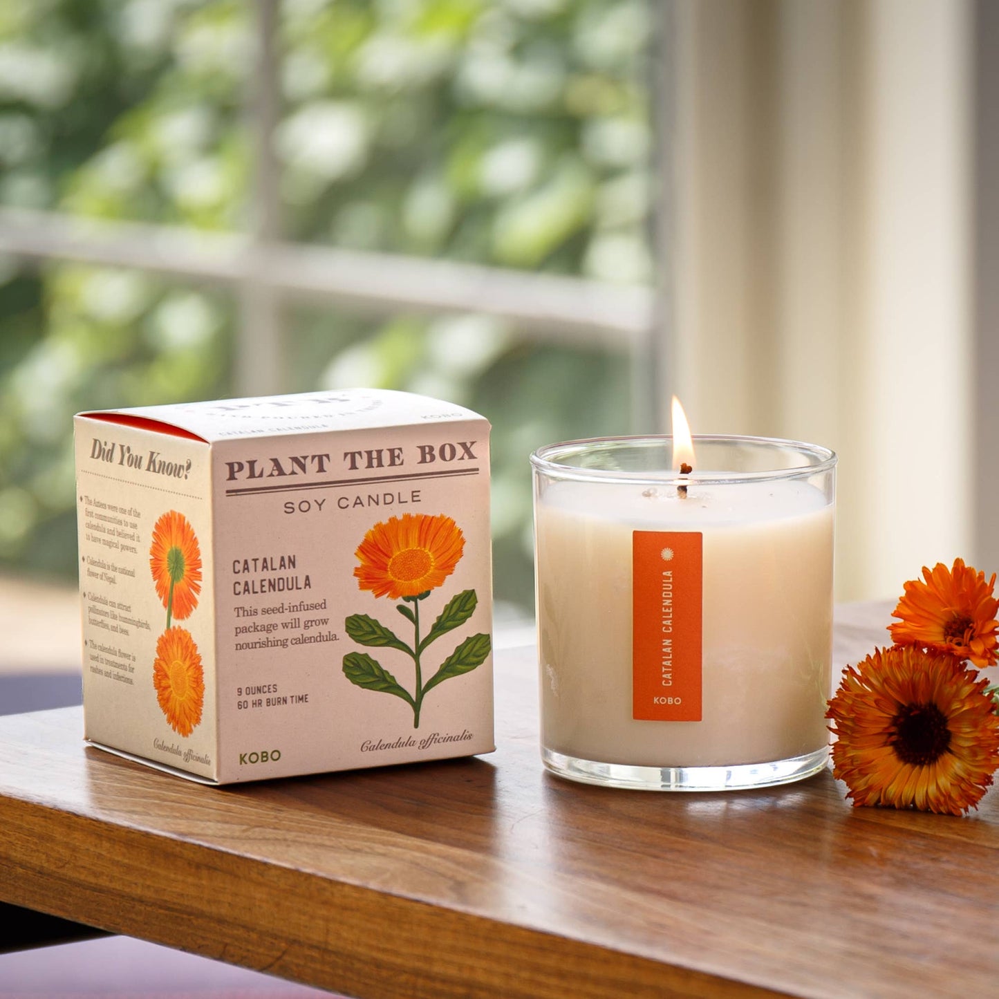 Catalan Calendula - Plant the Box Candle - 9oz. - La Vie Est Belle