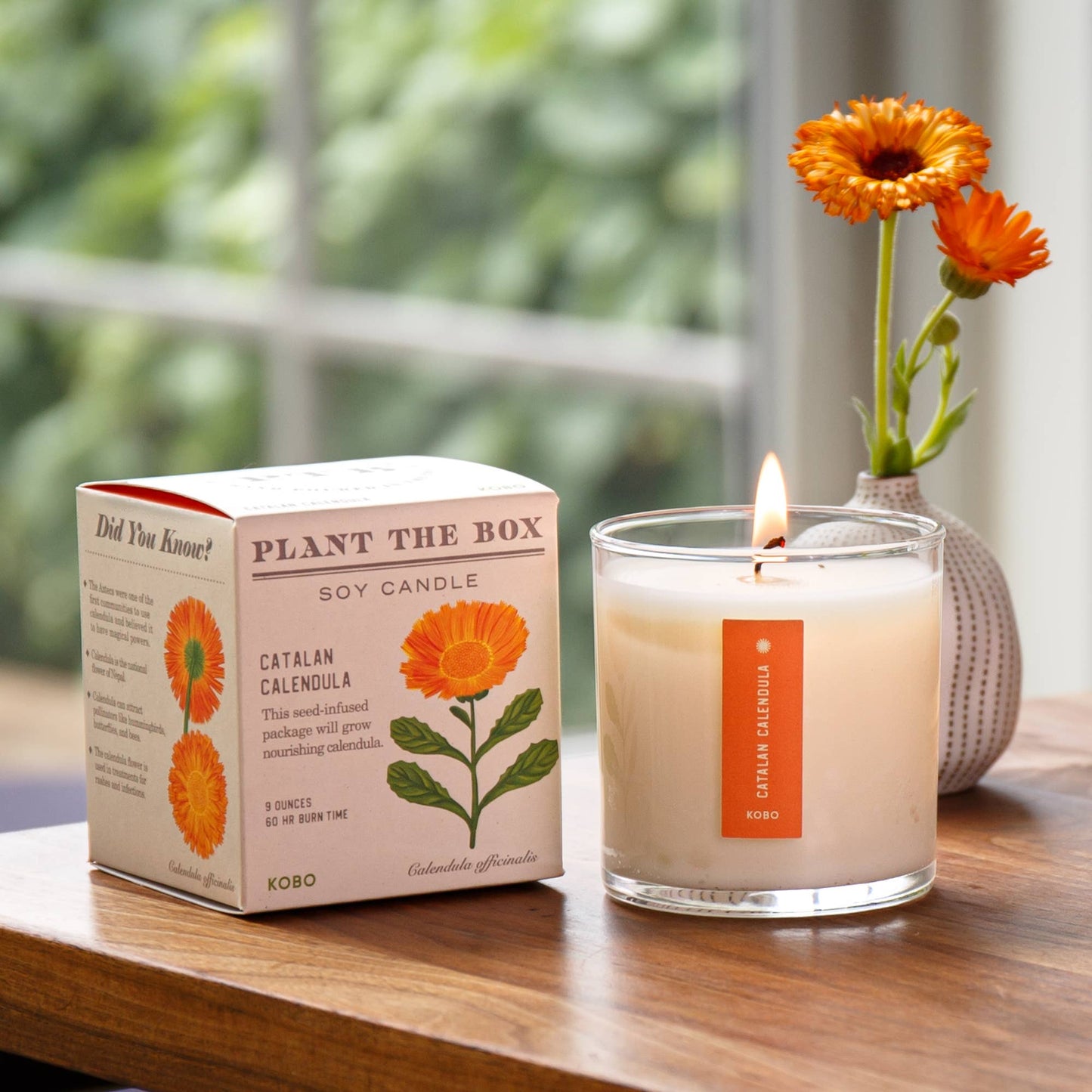 Catalan Calendula - Plant the Box Candle - 9oz. - La Vie Est Belle