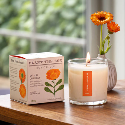 Catalan Calendula - Plant the Box Candle - 9oz. - La Vie Est Belle