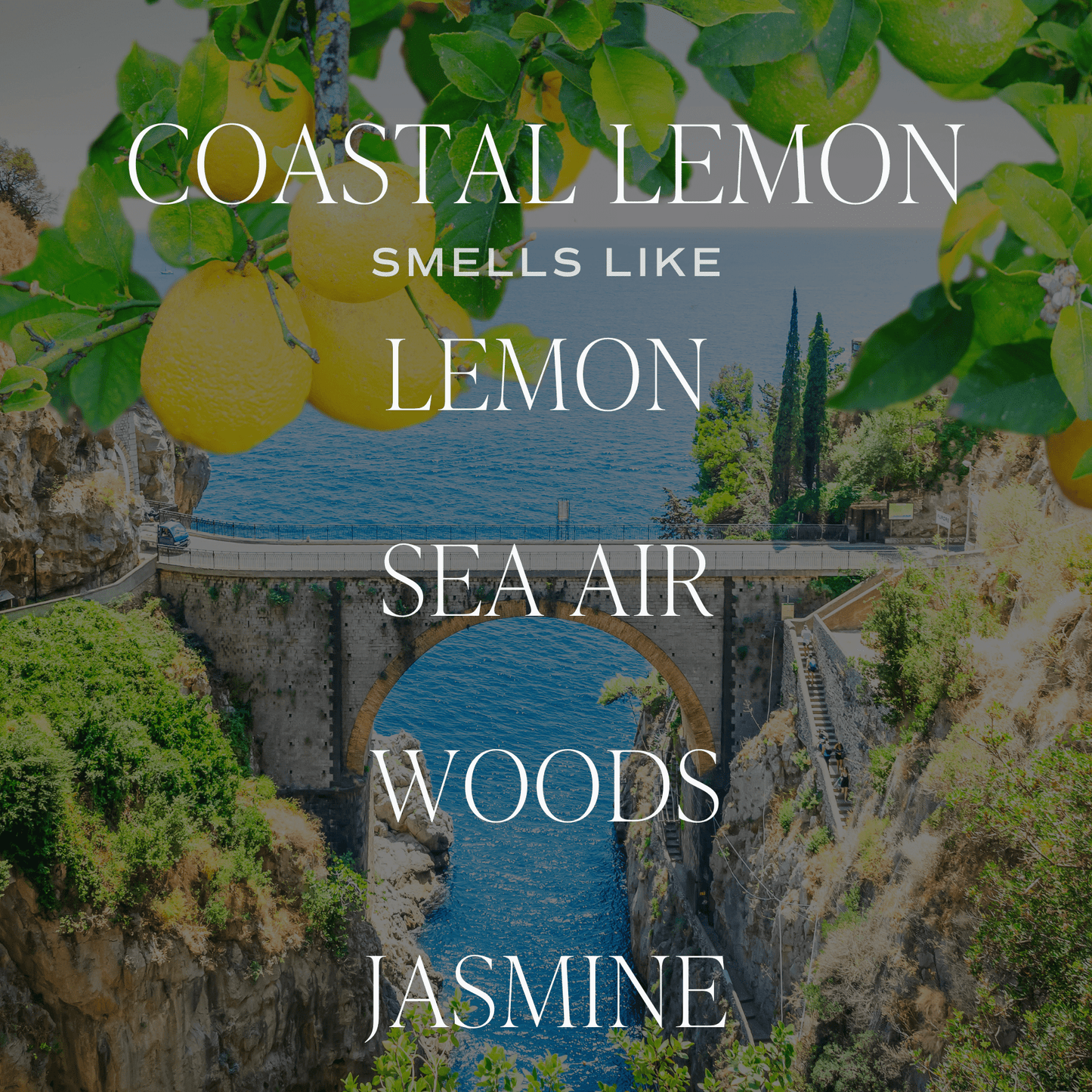 Coastal Lemon 11 oz Soy Candle - La Vie Est Belle
