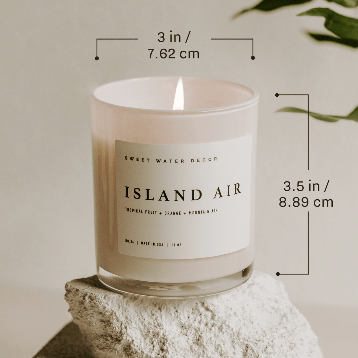 Farmer's Market 11 oz Soy Candle - La Vie Est Belle