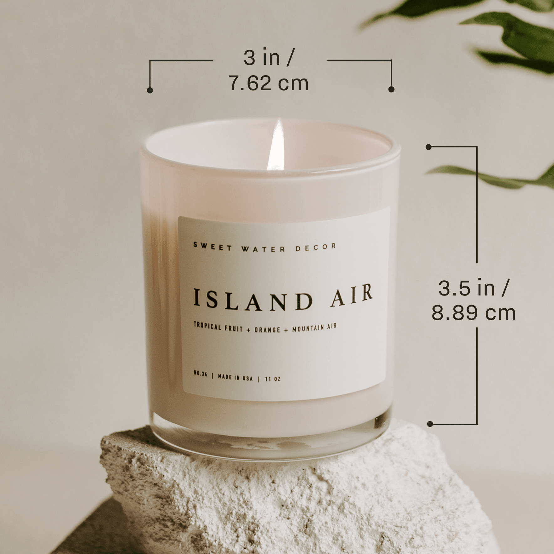 Farmer's Market 11 oz Soy Candle - La Vie Est Belle