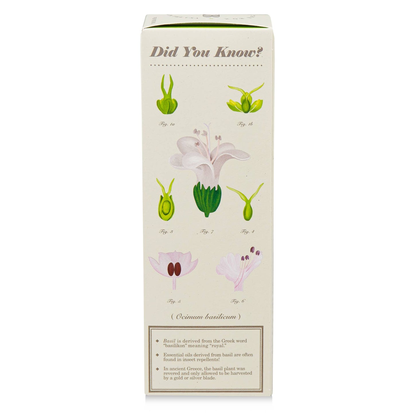Fresh Picked Basil Diffuser 4 oz - La Vie Est Belle