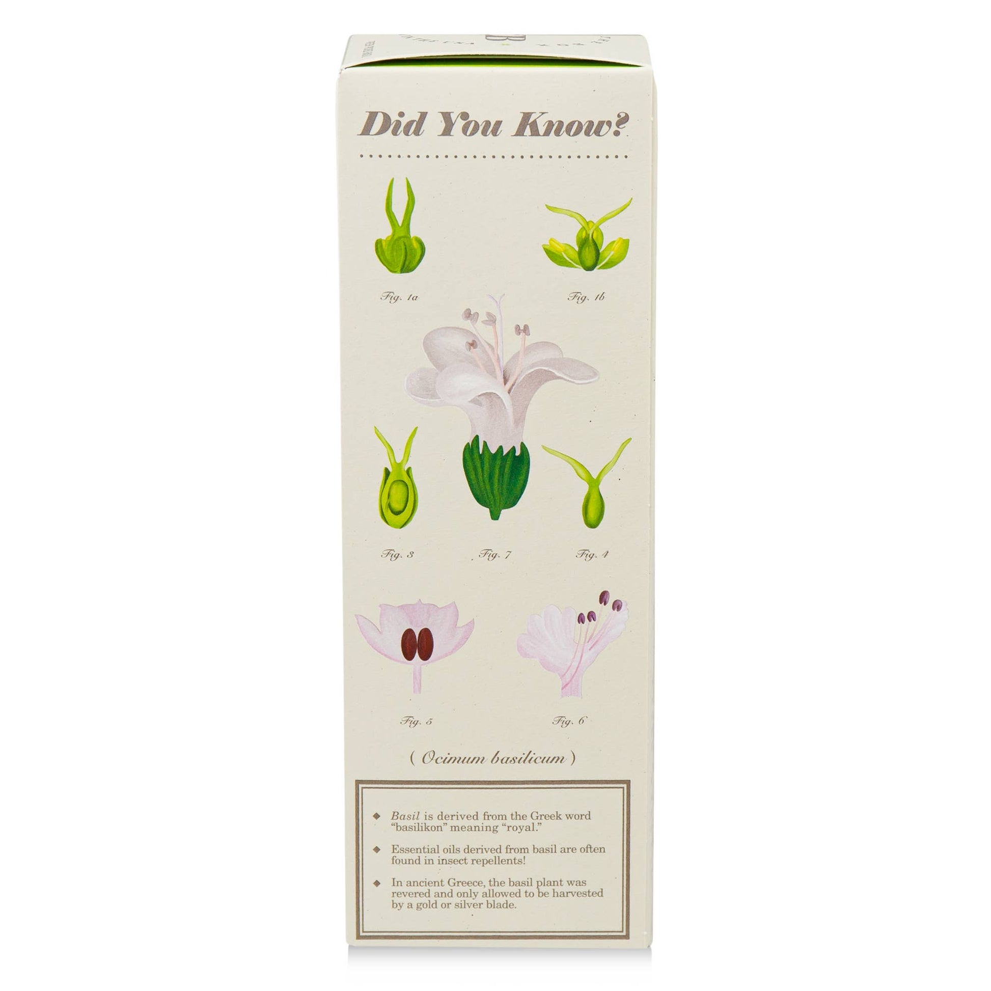 Fresh Picked Basil Diffuser 4 oz - La Vie Est Belle