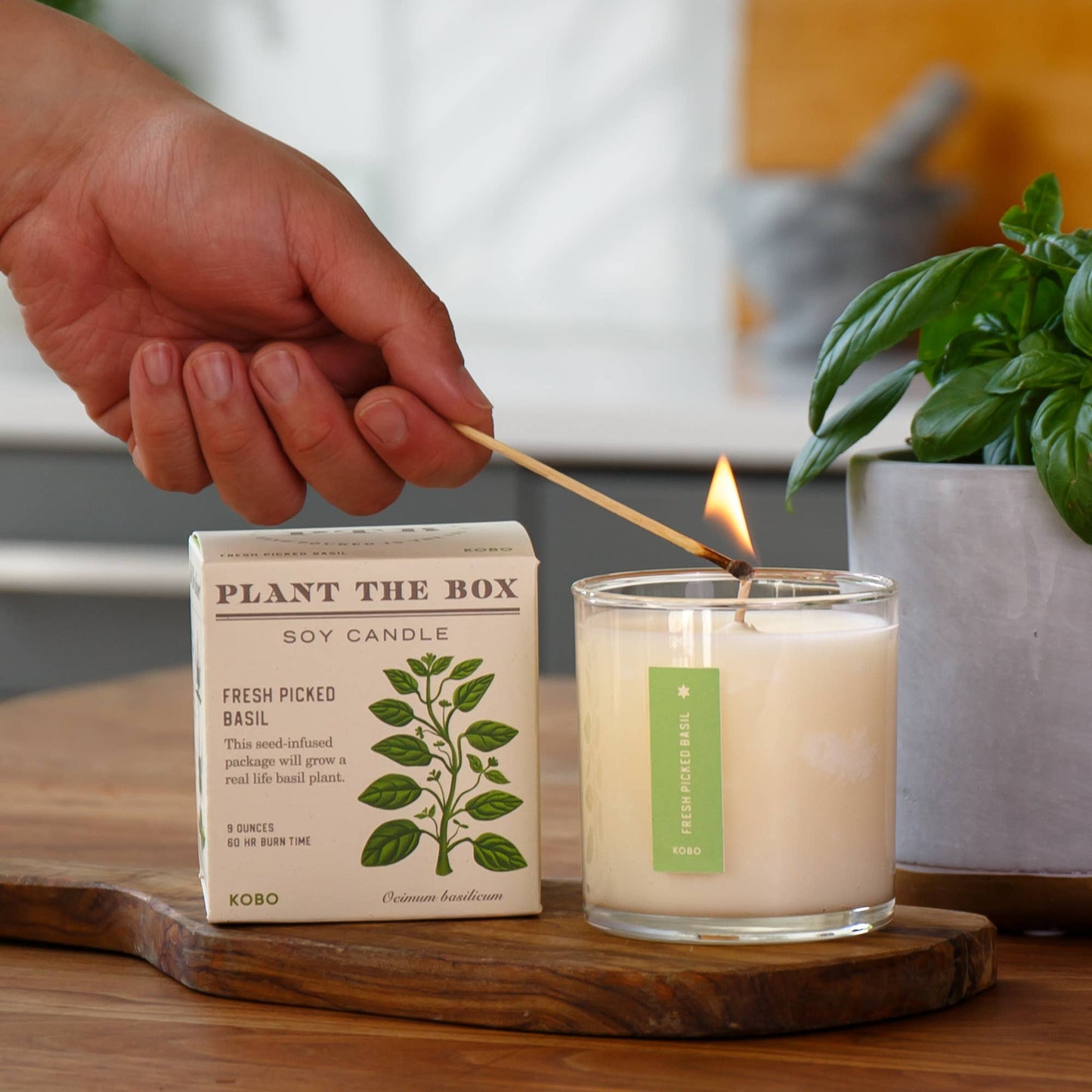 Fresh Picked Basil - Plant the Box Candle - 9oz. - La Vie Est Belle