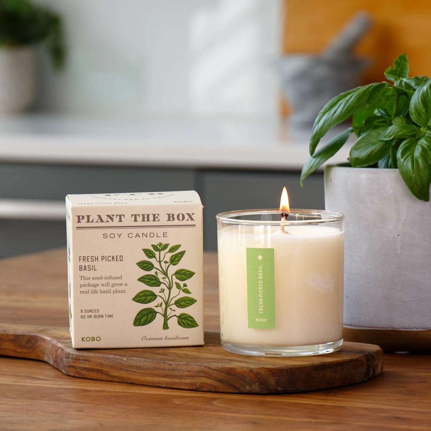 Fresh Picked Basil - Plant the Box Candle - 9oz. - La Vie Est Belle