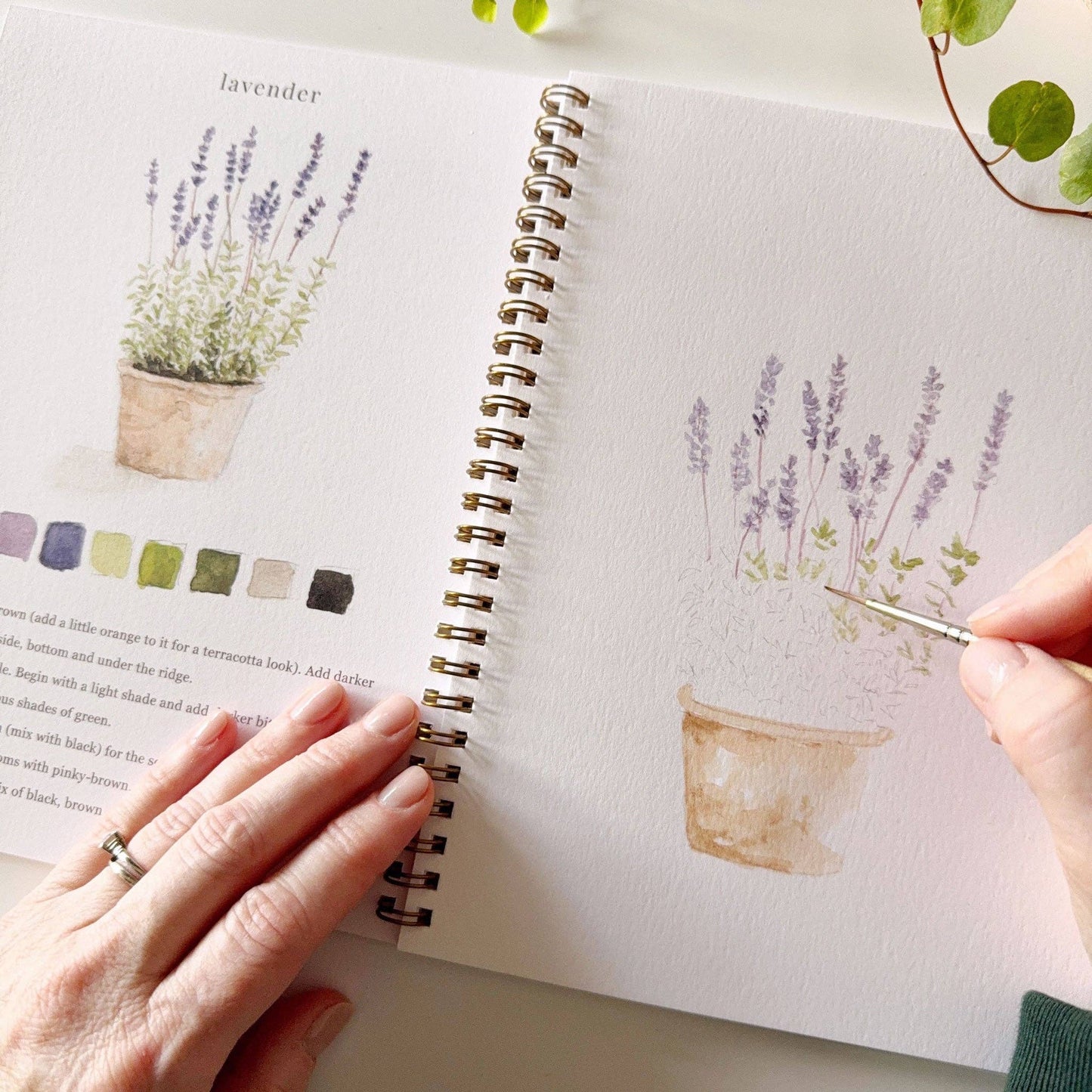 Garden Watercolor Workbook - La Vie Est Belle