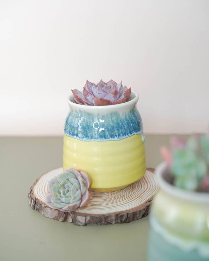 Glazed Colorful Pot - La Vie Est Belle