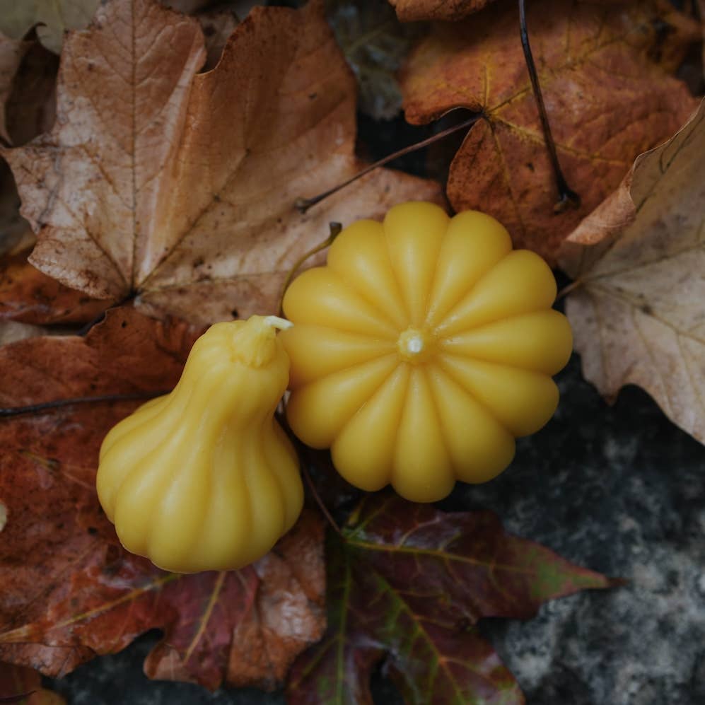 Gourd - Handmade Beeswax Fall Candle - La Vie Est Belle
