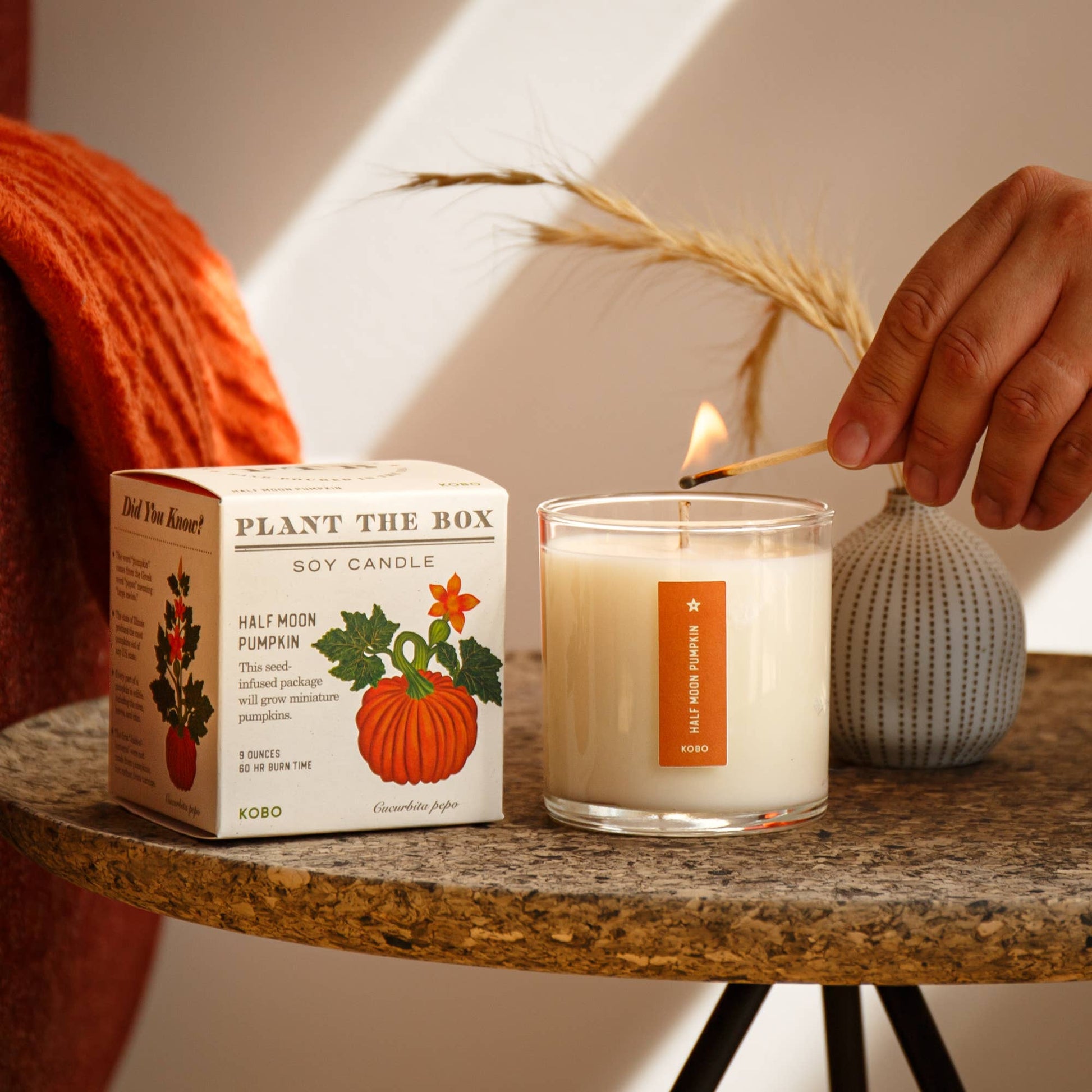 Half Moon Pumpkin - Plant the Box Candle - 9oz. - La Vie Est Belle