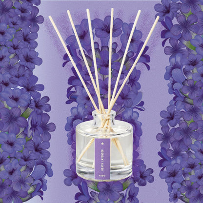 Heath Lavender - Plant the Box Diffuser - 4oz - La Vie Est Belle