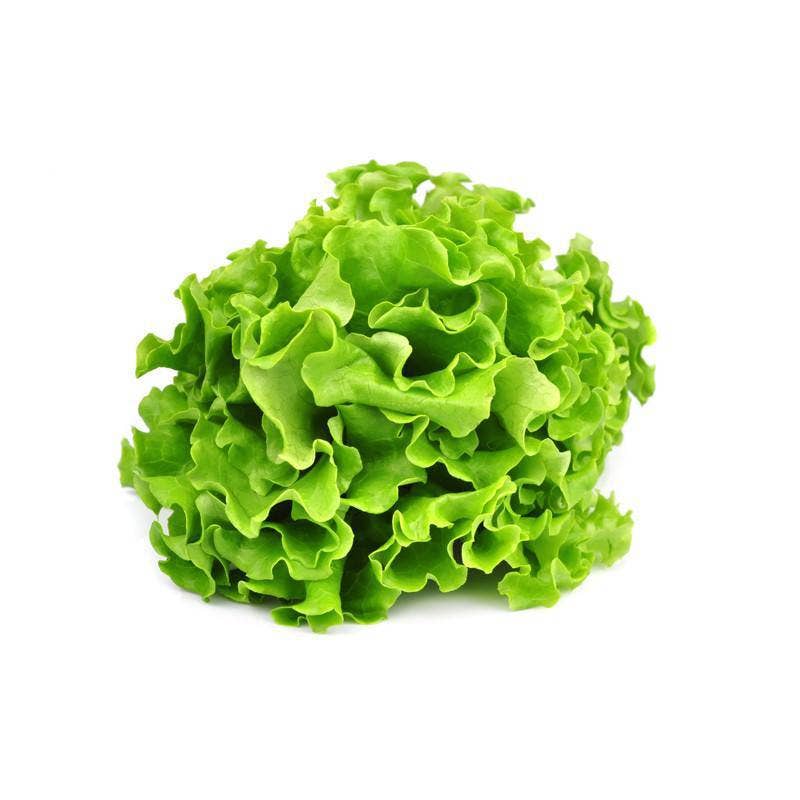 Lettuce, Heirloom Garden Seed Packet - La Vie Est Belle
