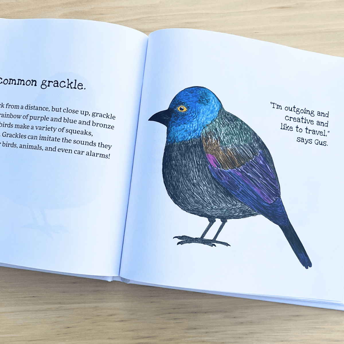 Little Birdie Buddies of Wisconsin - La Vie Est Belle