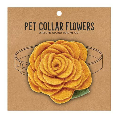 Medium Pet Collar Flower - Marigold - La Vie Est Belle