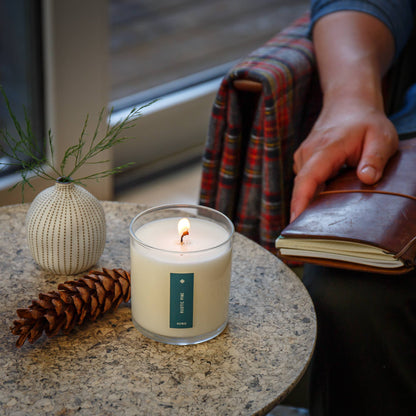 Rustic Pine - Plant the Box Candle - 9oz. - La Vie Est Belle