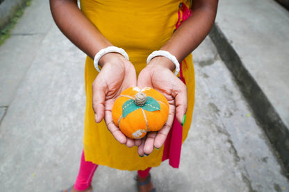Saree Pumpkin - Small - La Vie Est Belle
