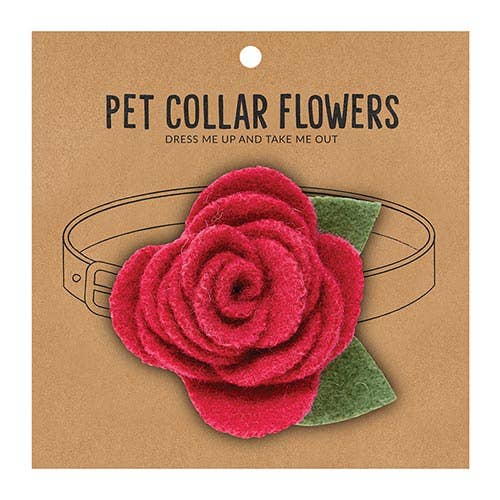 Small Pet Collar Flower - Raspberry - La Vie Est Belle