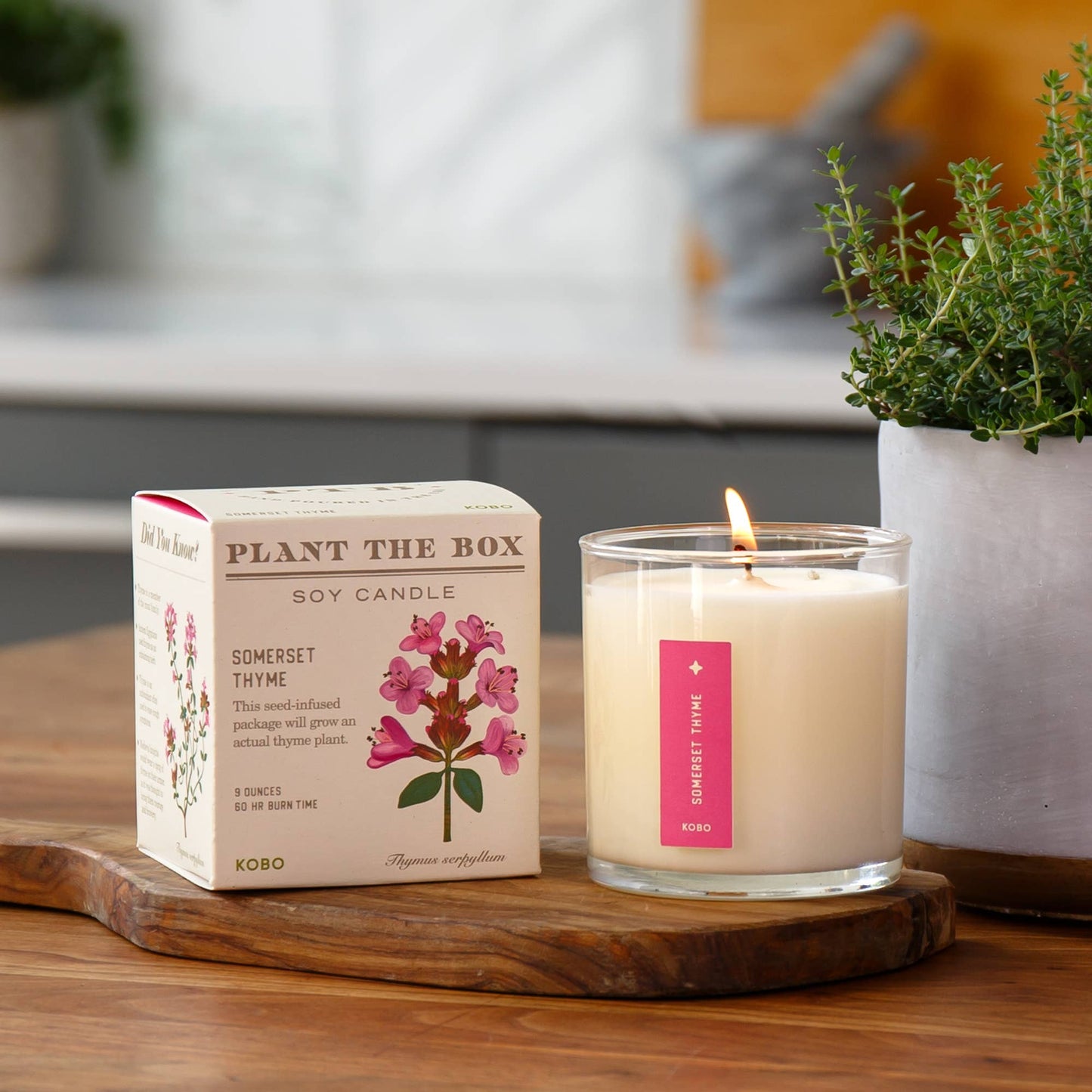 Somerset Thyme - Plant the Box Candle - 9oz. - La Vie Est Belle