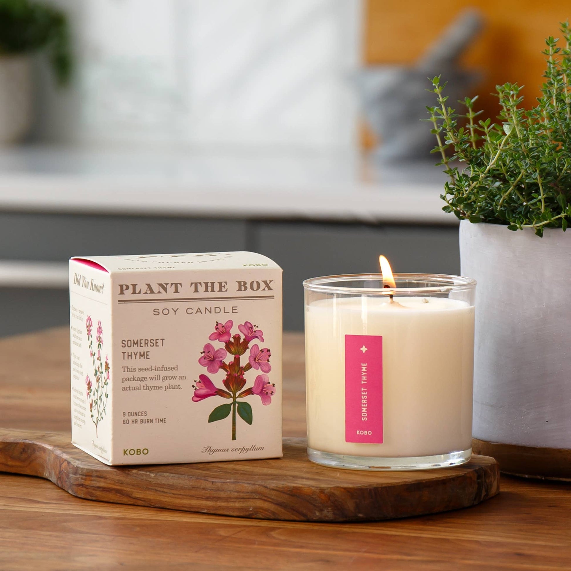 Somerset Thyme - Plant the Box Candle - 9oz. - La Vie Est Belle