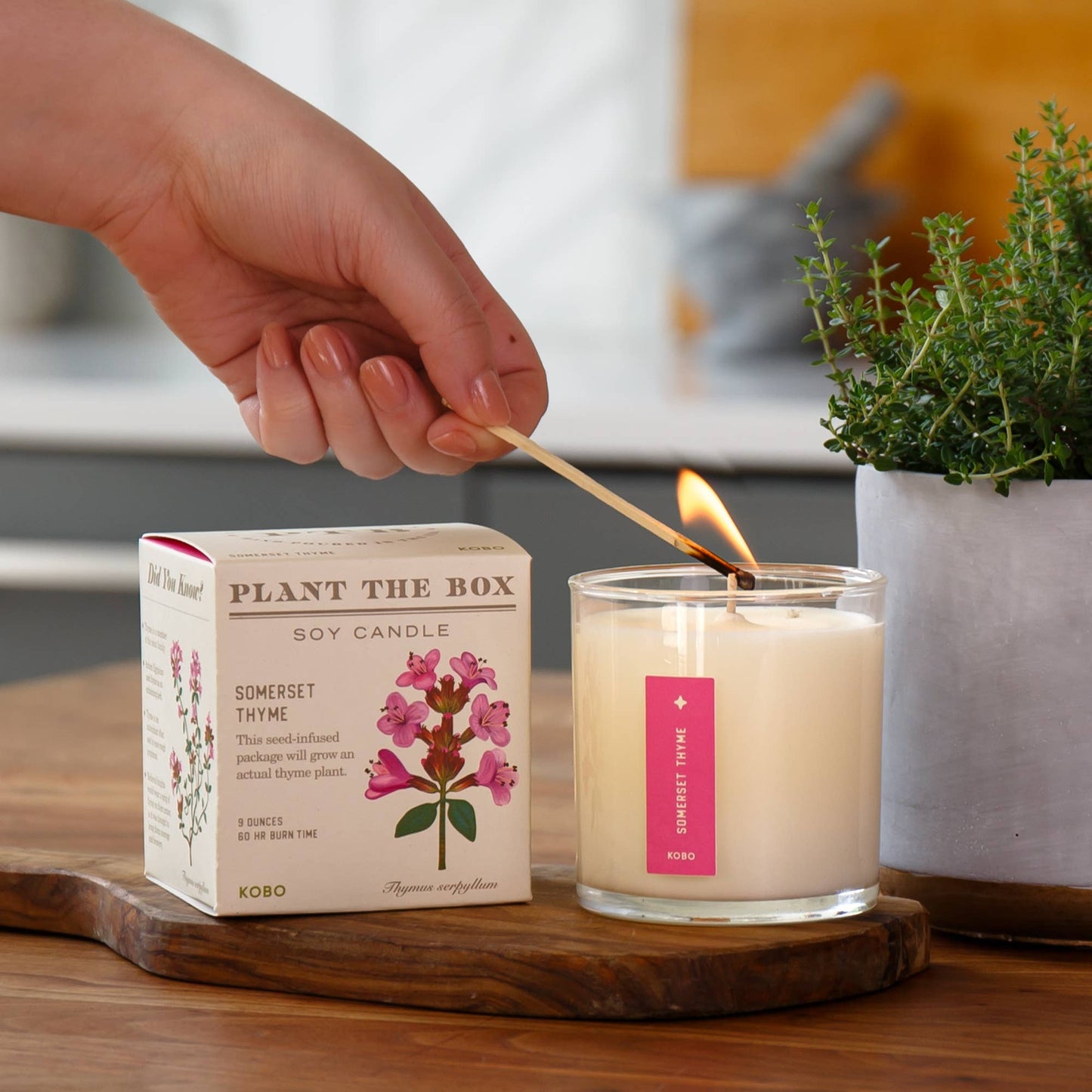Somerset Thyme - Plant the Box Candle - 9oz. - La Vie Est Belle