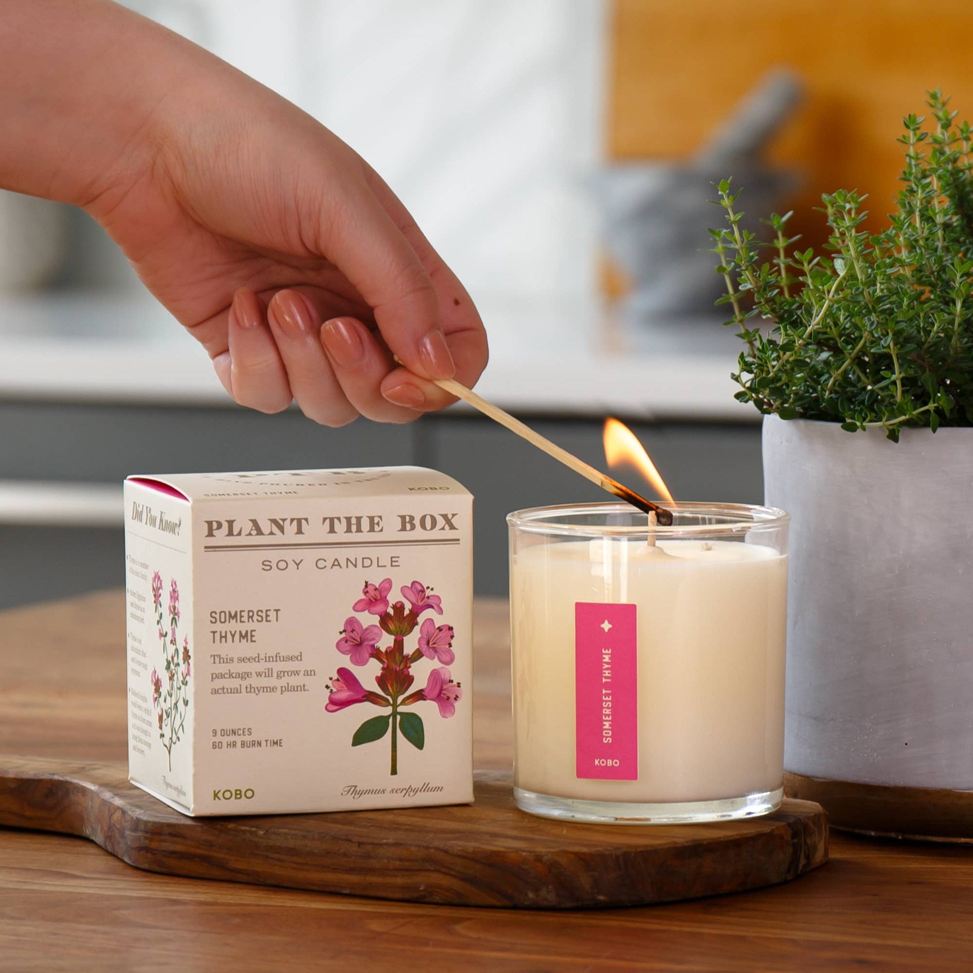 Somerset Thyme - Plant the Box Candle - 9oz. - La Vie Est Belle